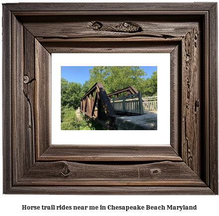 horse trail rides near me in Chesapeake Beach, Maryland